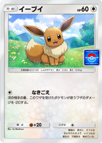 & 進化_ポケモン &